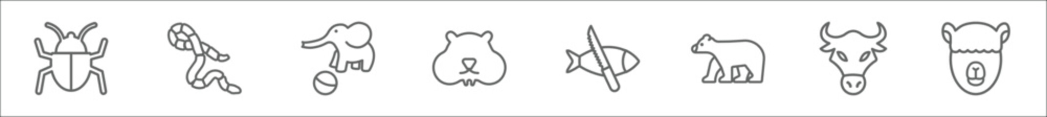 outline set of animals line icons. linear vector icons such as big bug, coral snake, elephant on a ball, hamster, fish and a knife, polar bear, bull, alpaca