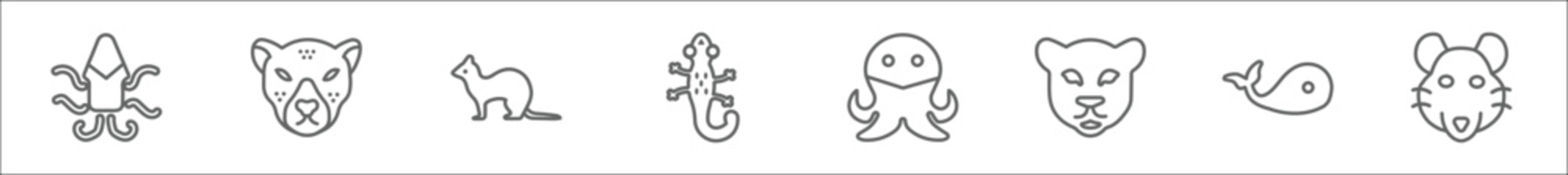 outline set of animals line icons. linear vector icons such as kraken, cheetah, weasel, salamander, aquarium octopus, panther, big fish, rat