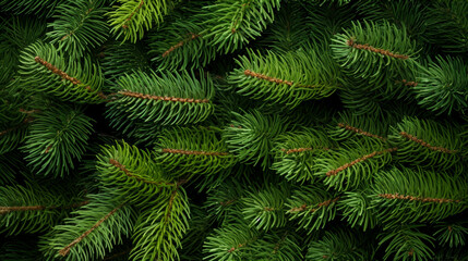 Pine, Christmas tree branches. New Year background. Top view