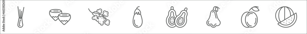 Poster outline set of fruits line icons. linear vector icons such as spring onion, hazelnut, grape, eggplan