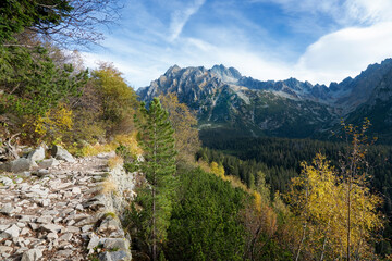 Fototapeta na wymiar Panorama of the High Tatras (Tatry) in Slovakia. A road leading to a range of rocky, high mountains. Perfect photo for wallpaper