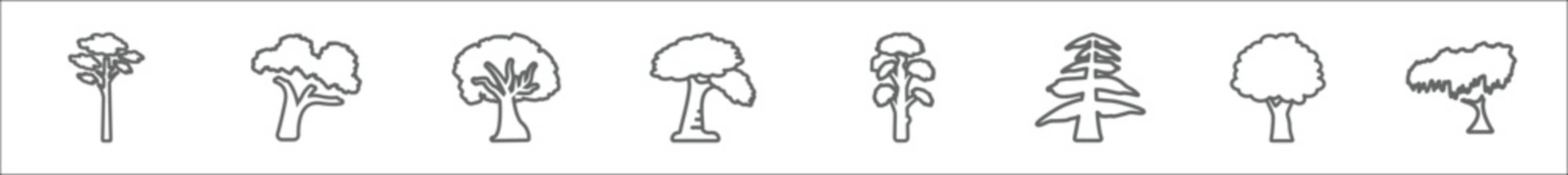 outline set of nature line icons. linear vector icons such as pitch pine tree, shagbark hickory tree, sycamore tree, pin cherry slippery elm eastern hemlock butternut black willow