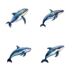 set of happy cute whale watercolor illustrations for printing on baby clothes, pattern, sticker, postcards, print, fabric, and books