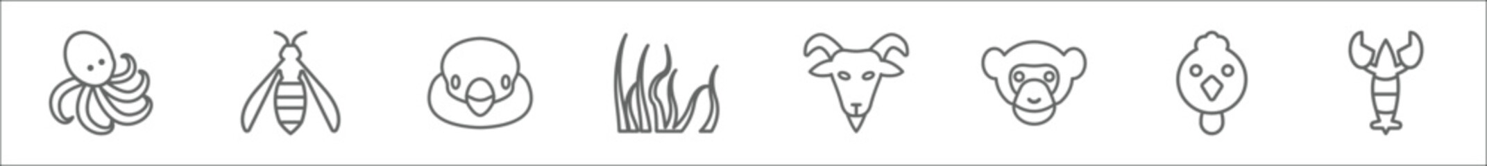 outline set of animals line icons. linear vector icons such as octopus, wasp, snigir, seaweed, goat, chimpanzee, cock, lobster - obrazy, fototapety, plakaty