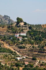 Fototapeta na wymiar Cultivos en bancales en Yunquera, provincia de Málaga