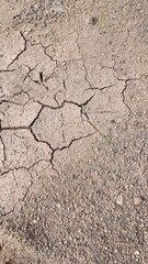 Dry cracked land with few grass, desert land, top shot of drought land