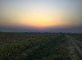 Naklejka na ściany i meble waiting for the sun to set in the rice fields