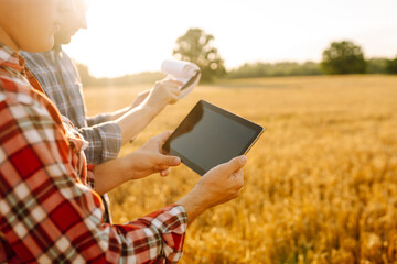 Agronomists in a golden wheat field with a digital tablet, studying the harvest. Two farmers check the quality of grain in the middle of a wheat field. Smart farm, internet, technology. - obrazy, fototapety, plakaty