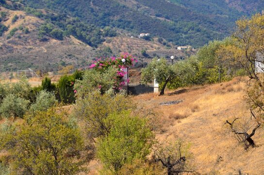 Paisaje de secano en Guaro, provincia de M&aacute;laga