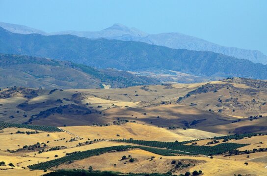 Paisaje de secano en Guaro, provincia de M&aacute;laga