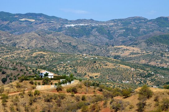 Paisaje de secano en Guaro, provincia de M&aacute;laga