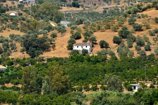 Paisaje andaluz alrededor de Monda, provincia de M&aacute;laga
