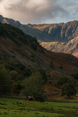 Lake District Hill