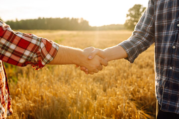 Against the backdrop of a golden wheat field, two farmers shake hands. Successful businessmen...