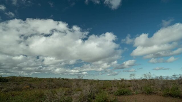 time-lapse sandy or steppe terrain with growing green bushes against the background of passing clouds fly fast.