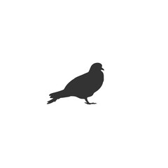 Pigeon bird icon Flat cartoon character design. Bird icon. Cute pigeon template. Vector illustration