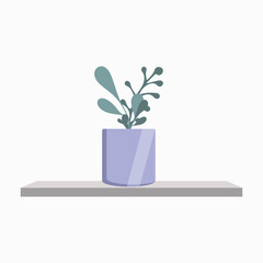 Indoor plant in a purple pot on a wall shelf on a white background