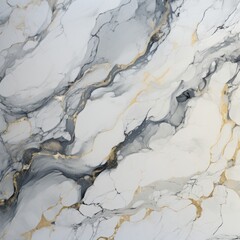 photo of calacatta Marble slab