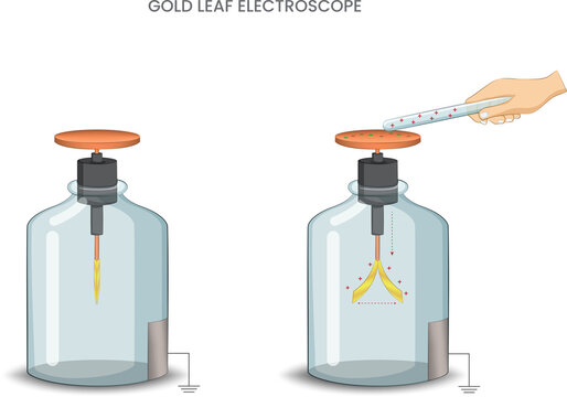 
A gold-leaf electroscope detects electric charges by the divergence of thin gold leaves, a classic instrument in electrostatics