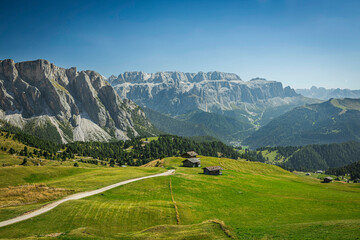 A trailing leading through the alpine meadows of secede in the Italian Dolomites on a summer day.