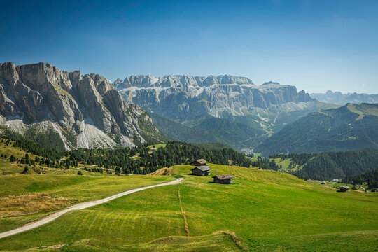 A trailing leading through the alpine meadows of secede in the Italian Dolomites on a summer day.
