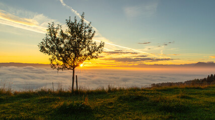 Sonnenaufgang &uuml;ber dem Nebelmeer