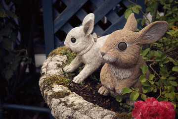 rabbit in the garden