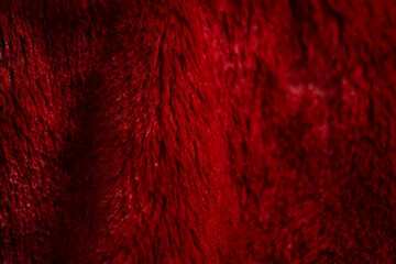 Red carpet with soft, flowing fur It's a similar picture. Makes the fabric clearly visible Can be used as a background for various products.