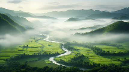 A breathtaking view of a lush, green valley blanketed with fog, creating an ethereal atmosphere - obrazy, fototapety, plakaty