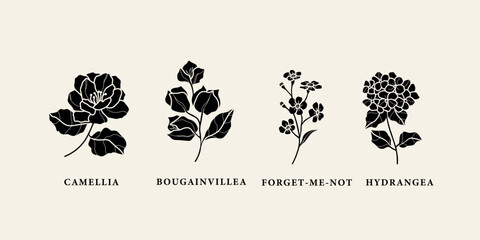 Flat vector camellia, bougainvillea, forget-me-not, hydrangea