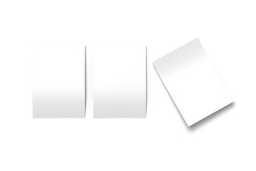 Two Blank Realistic Flyer Brochure 