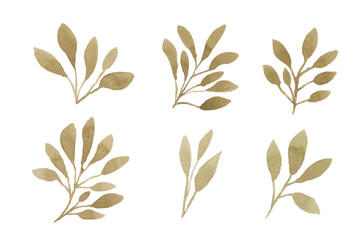 Set of watercolor leaves illustration - green leaf branches collection for wedding, greetings, stationary,  wallpapers, fashion, background. olive, green leaves, Eucalyptus etc