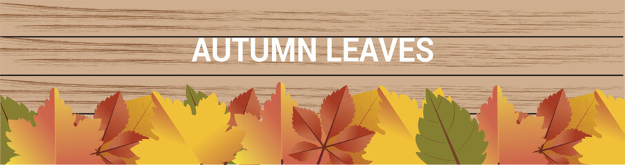 Autumn leaves over wooden background.