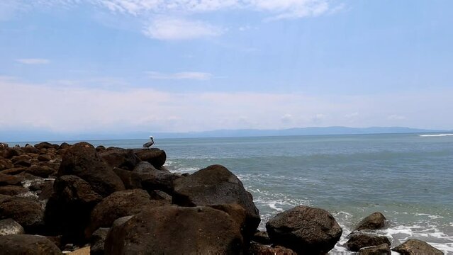 Tropical travel and tourism in Punta de Mita, Nayarit