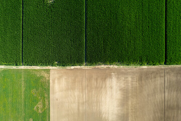 aerial photo shot of mixed cultivated and harvested rural plain land