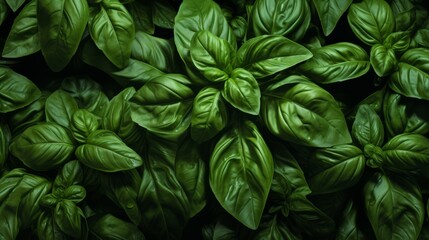 basil leaves background ai generated