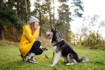 Happy woman with her husky is walking in a green meadow, having fun. The owner of the pet spends time together. Concept of friendship, vacation, walk.