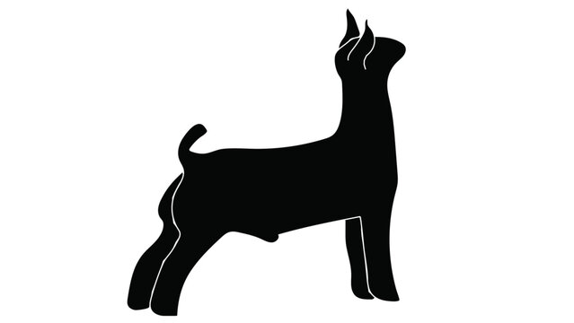 Show Goat