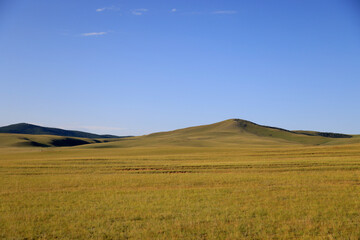 Fototapeta premium View of the green Mongolian steppe in summer