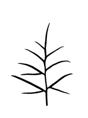 Silhouette structural tree isolated on white. Lines tropical illustration design.