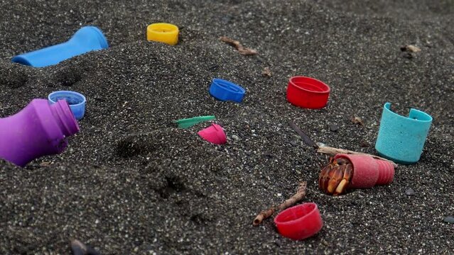 Hermit crab with plastic cap walking through the beach trash