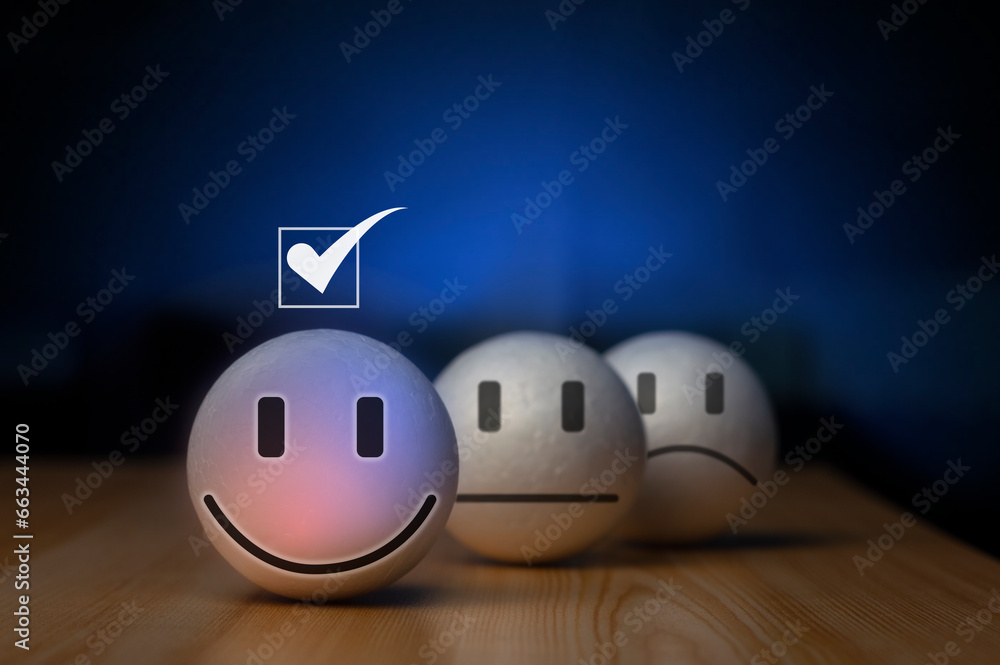 Poster users rate their service experience on the online application for a customer satisfaction survey con