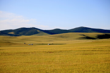 Fototapeta na wymiar View of the green Mongolian steppe in summer