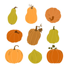 A set of pumpkins in various shapes. Vector collection of cute hand drawn pumpkins on white background.