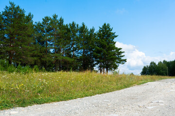 Fototapeta na wymiar Summer landscape. Gravel road in the middle of meadow and forest