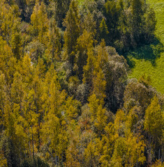 Autumn landscapes near Siver lake, Latvia (Latgale).