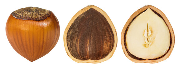 Kit. Hazelnuts. Shell. Tsulye and Core and grain. Depth of field. Isolated. On an empty background.