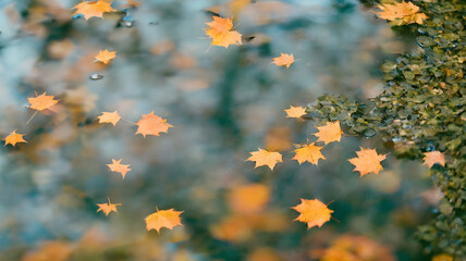Autumn nature background - Generative AI