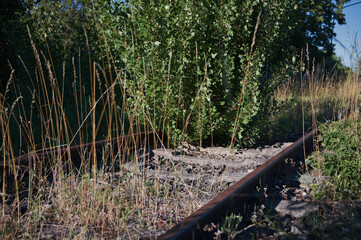 Stillgelegte Bahnschiene