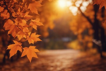 Naklejka na ściany i meble Autumn's Splendid Palette - Beautiful and Colorful Orange Foliage Set Against a Golden Blurred Background, Celebrating the Season's Natural Beauty